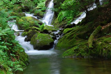СРЕДНИТЕ РОДОПИ : Смолян и Каньонът на водопадите